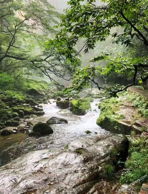 Golden Whip Stream Breathtaking Views for Adventurous Souls!