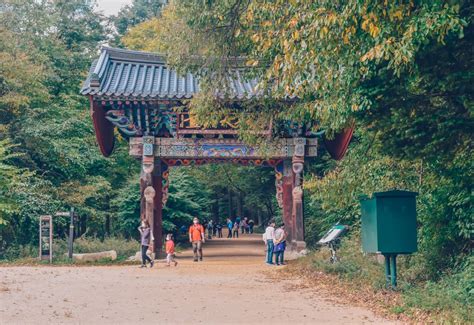 Odaesan National Park: A Breathtaking Tapestry of Hiking Trails and Mystical Temples!