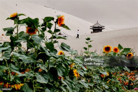  The Crescent Lake Scenic Area: Where Tranquility Meets Majestic Sand Dunes!