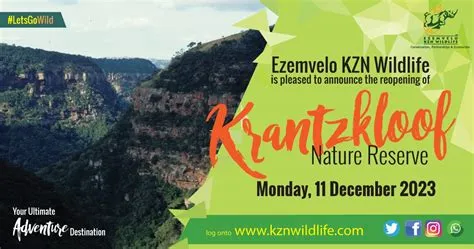 The Krantzkloof Nature Reserve: A Thrilling Escape into Durban’s Wilderness!